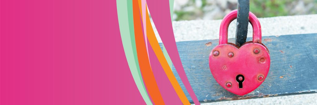 Pink-Lady-Cleaning-Service-Dublin-05-1024×341